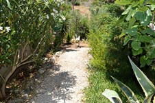 Property 11412 photo 21