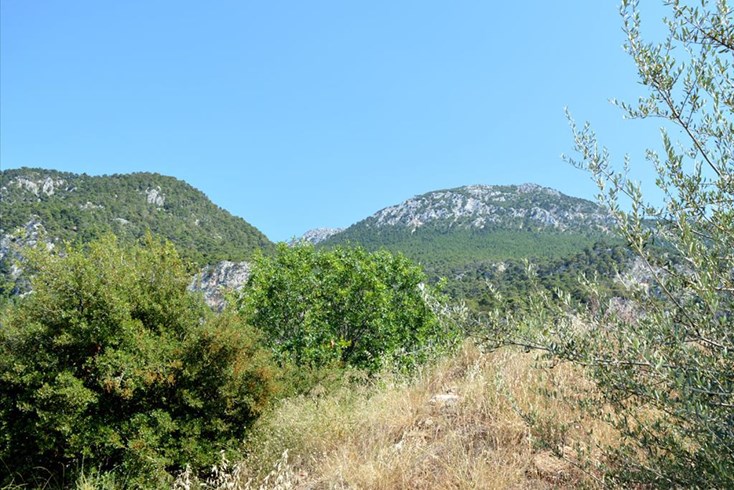 Realty photo 3
