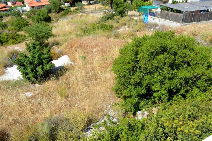 Realty photo 1