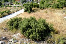 Property 11418 photo 2