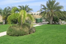 Property 11423 photo 4