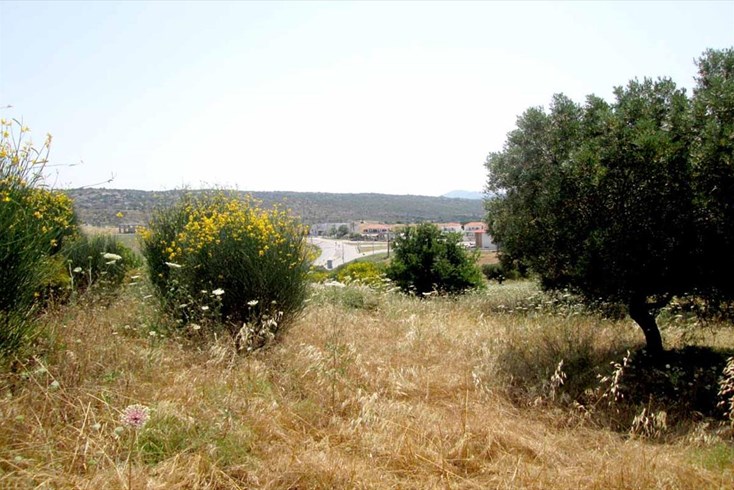 Realty photo 2