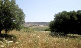 Land 4123 m² in Sithonia, Chalkidiki