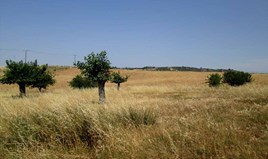 Land 5777 m² auf Sithonia (Chalkidiki)