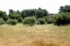 Property 11426 photo 3