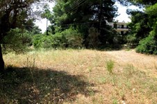 Property 11426 photo 2