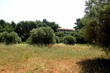 Property 11426 photo 6
