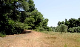 Zemljište 2100 m² na Sitoniji (Halkidiki)