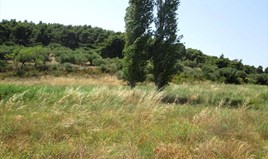Zemljište 6533 m² na Sitoniji (Halkidiki)