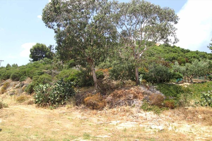 Realty photo 2