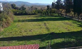 Land 3000 m² in Epirus