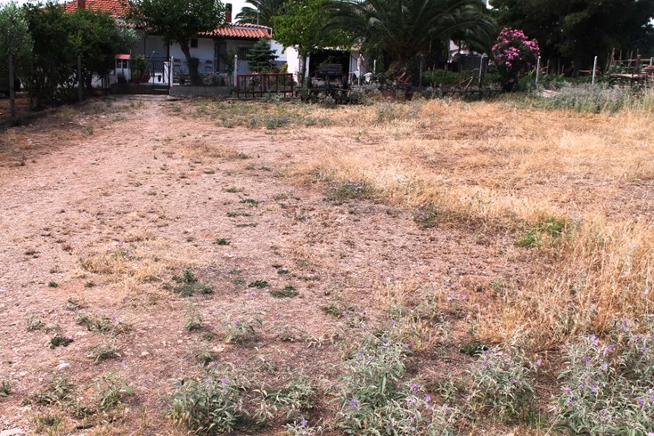 Realty photo 2