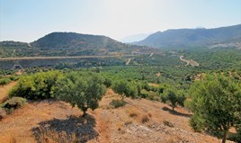 Парцел 16800 m² на Крит