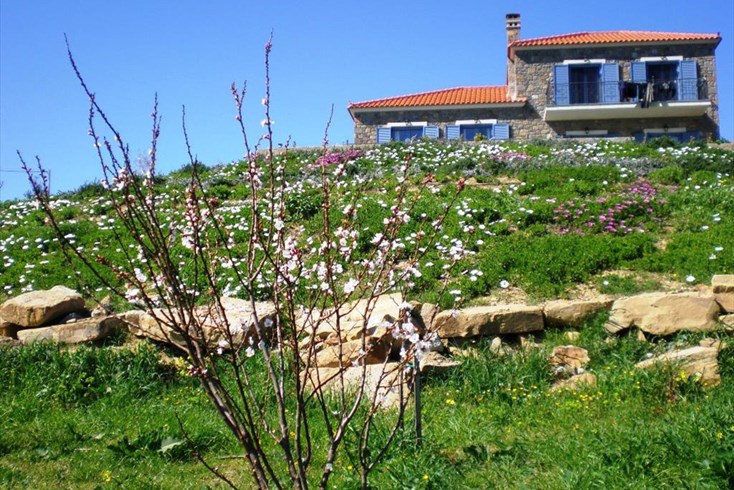 Realty photo 2