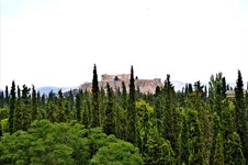 Property 11526 photo 6