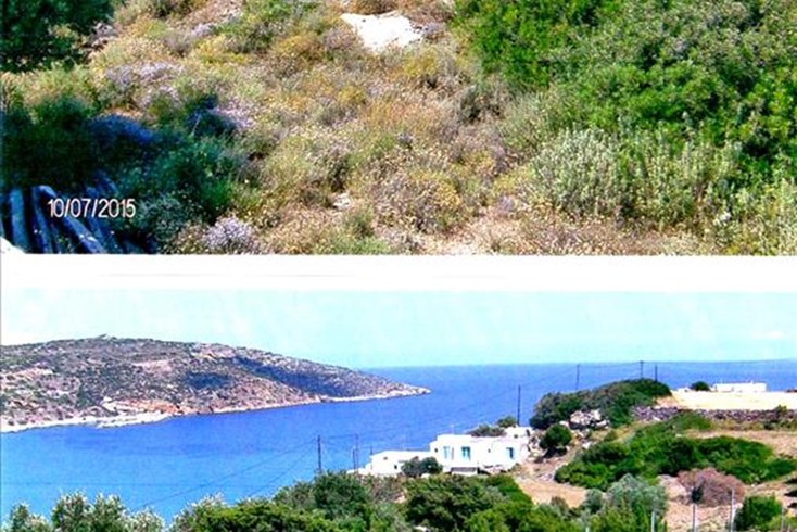 Realty photo 2