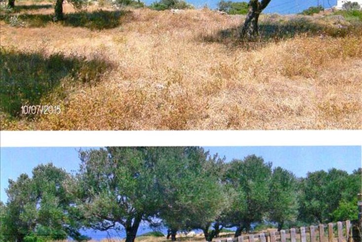 Realty photo 1
