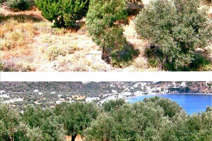 Realty photo 3