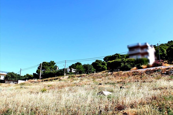 Realty photo 2