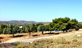 Zemljište 1200 m² na Atici