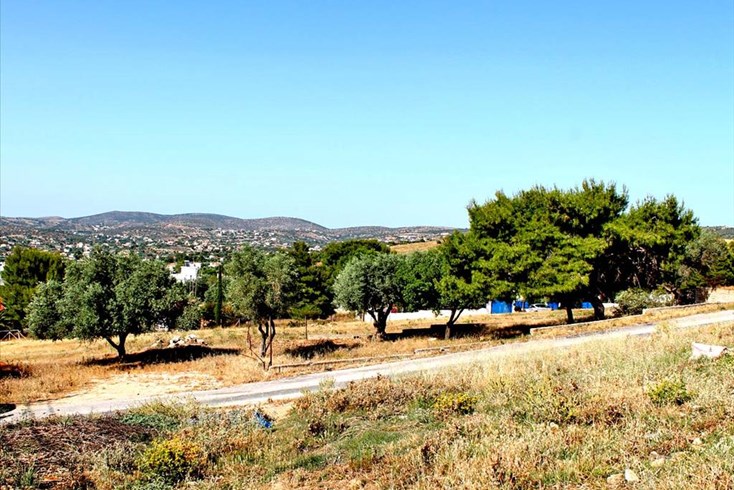 Realty photo 1