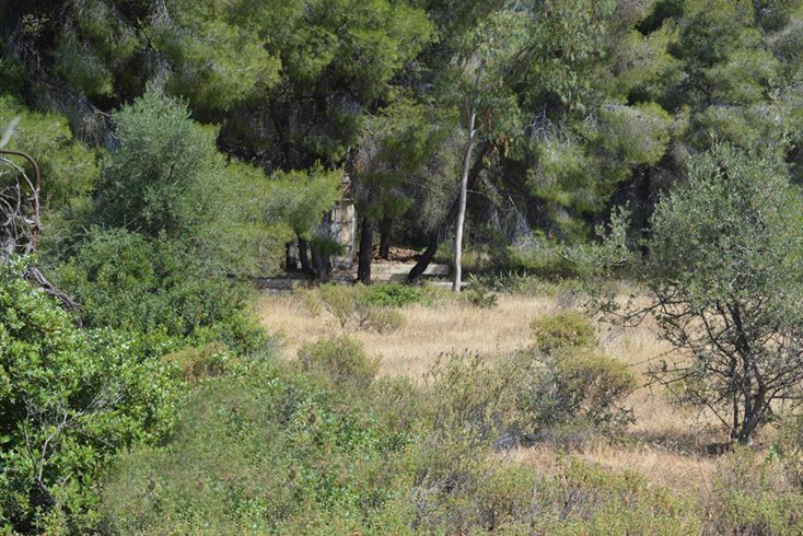 Realty photo 3