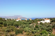 Property 11581 photo 13