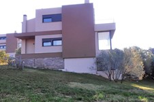 Property 1160 photo 2