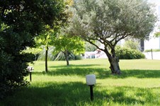 Property 11611 photo 77