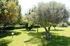 Property 11611 photo 68