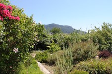 Property 11611 photo 88