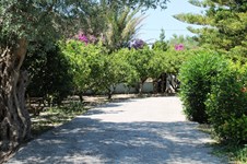 Property 11611 photo 60