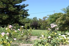 Property 11611 photo 75