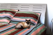 Property 11611 photo 47