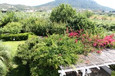 Property 11611 photo 85