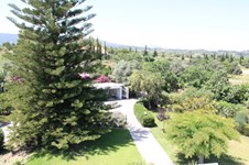 Property 11611 photo 86