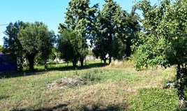 Land 600 m² auf Kassandra (Chalkidiki)