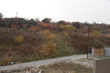 Property 1164 photo 7