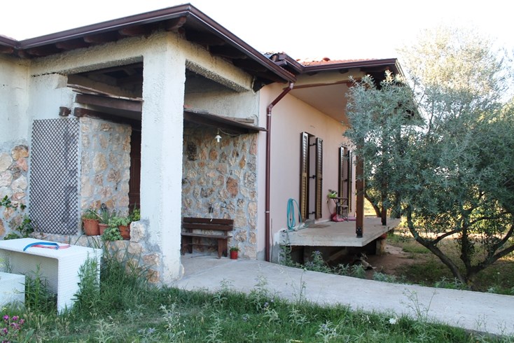 Realty photo 1