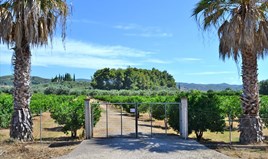 Land 14000 m² in Western Peloponnese