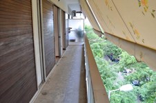 Property 11661 photo 7