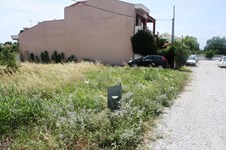Property 11667 photo 3