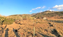 Zemljište 2000 m² na Kritu