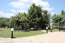 Property 1171 photo 5