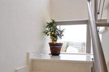 Property 1172 photo 14