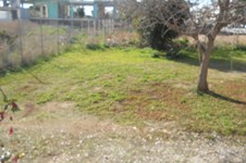 Property 1178 photo 3
