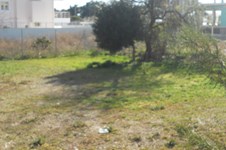Property 1178 photo 6