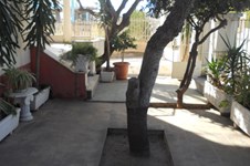Property 1178 photo 11
