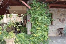 Property 1180 photo 3