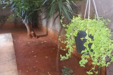 Property 1186 photo 8